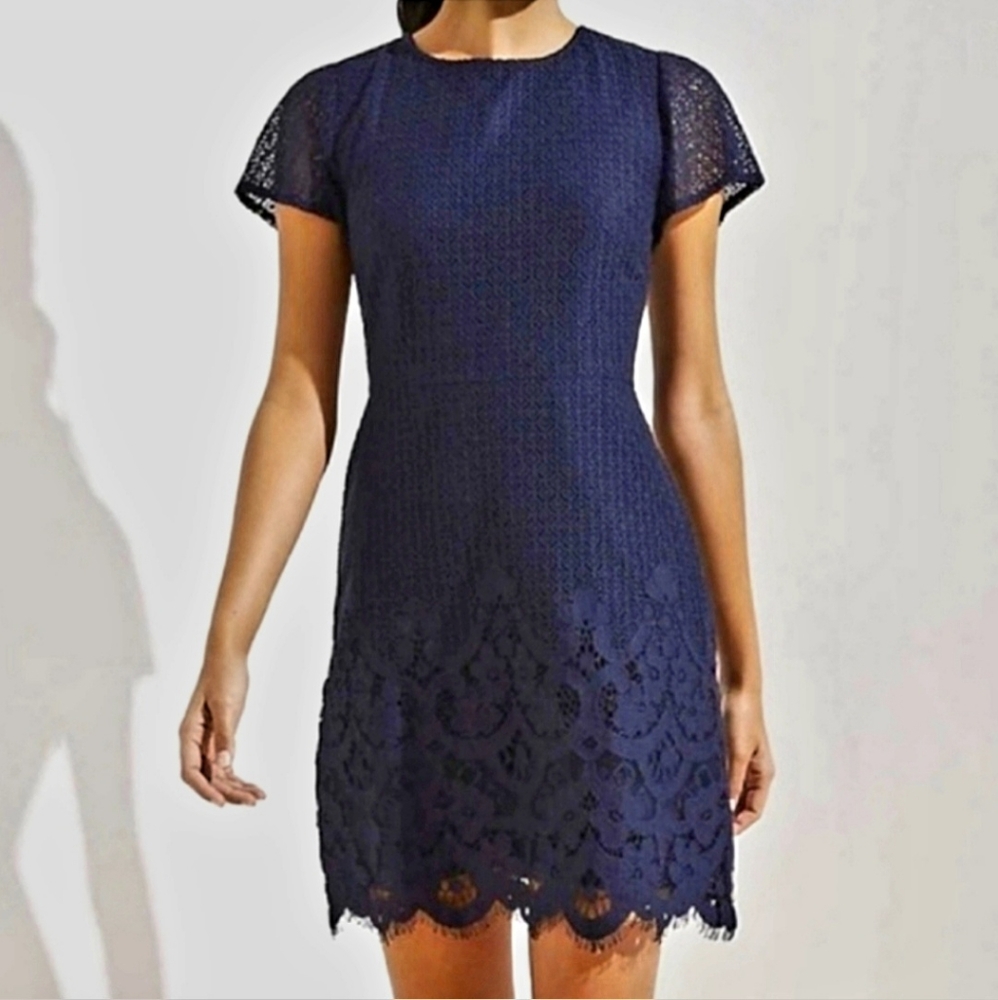 LOFT Lace Shift Dress in Indigo - Size 2